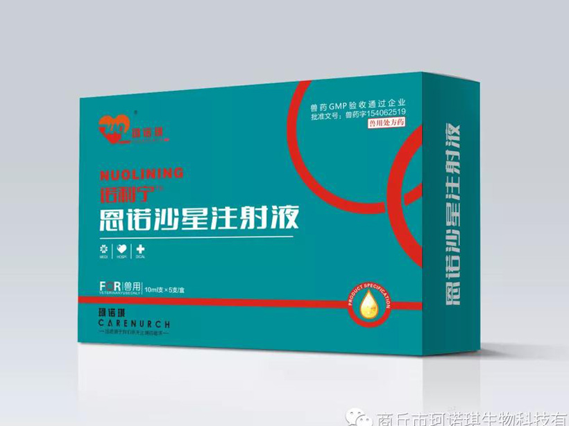 诺利宁.jpg